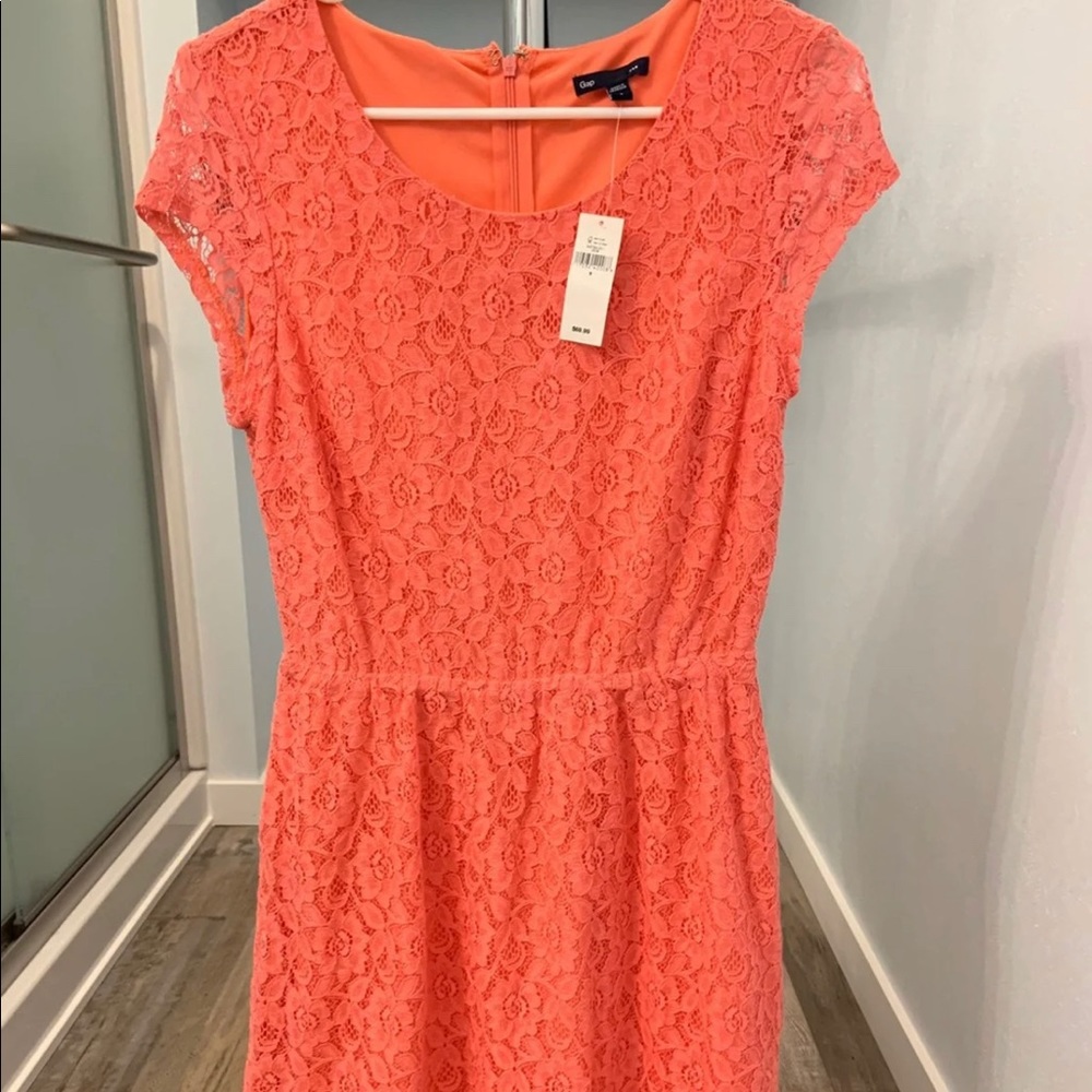 Gap Womens Coral Lace Dress Size 8 New With Tags